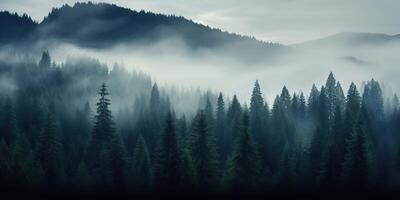 ai generiert. ai generativ. Abenteuer draussen Natur Nebel Nebel Wolken Wald Bäume Landschaft Hintergrund wild erkunden. Grafik Kunst foto