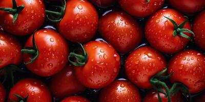 ai generiert. ai generativ. Öko organisch frisch rot Tomate. Gemüse Vegetarier Essen Ernährung Bauernhof Lebensmittel. Grafik Kunst foto