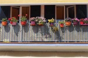 Blumendekoration auf blauem Balkon verschiedene Arten von Blumen Spanien foto