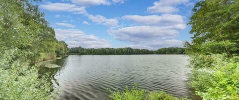 Panorama- Aussicht Über See mit üppig Ufer Vegetation im Sommer- foto