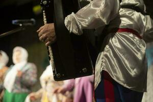 spielen Volk Instrument. Folklore Ensemble. Akkordeon im Hand. foto