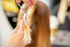 das Friseur schneidet das endet von weiblich Haar mit Schere. Konzept von Schönheit Salon Dienstleistungen. schneidet Haar Tipps. foto