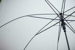 Regen fallen auf Regenschirm. regnerisch Jahreszeit Konzept. foto