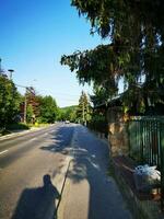 Asphalt Straße im das Wald mit Bäume und Blau Himmel Hintergrund. foto