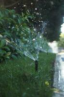 automatisch Bewässerung Gras, Garten Rasen Sprinkler im Aktion. foto