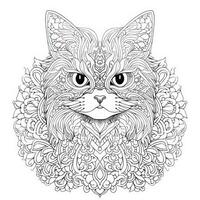 Katze Färbung Seiten exotisch lineart foto