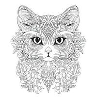 Katze Färbung Seiten exotisch lineart foto