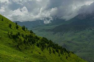 Sommer- Tag im das Berge foto