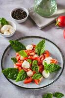 köstlich Caprese Salat mit reif Tomaten, Mozzarella Käse und Basilikum auf ein Teller Vertikale Aussicht foto