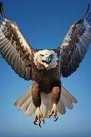 Foto von kriegerisch Adler auf Blau Hintergrund. generativ ai