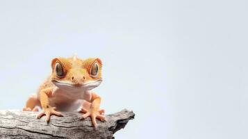 Foto von ein Gecko auf Weiß Hintergrund. generativ ai
