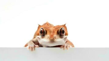 Foto von ein mit Haube Gecko auf Weiß Hintergrund. generativ ai