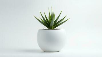 Foto von Agave im minimalistisch Topf wie Zimmerpflanze zum Zuhause Dekoration isoliert auf Weiß Hintergrund. generativ ai