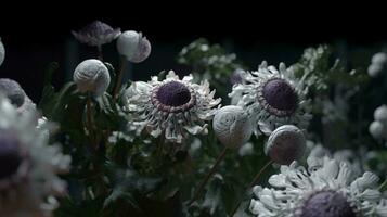 Blumen Makro Foto Illustration Landschaft