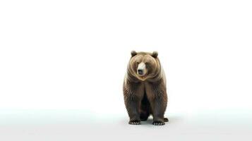 Foto von ein amerikanisch Bär auf Weiß Hintergrund. generativ ai