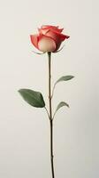 Foto von einer Stengel von Rose Blume isoliert auf Weiß Hintergrund. generativ ai