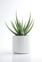 Foto von Aloe vera im minimalistisch Topf wie Zimmerpflanze zum Zuhause Dekoration isoliert auf Weiß Hintergrund. generativ ai