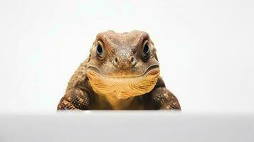 Foto von ein komodo Drachen auf Weiß Hintergrund. generativ ai