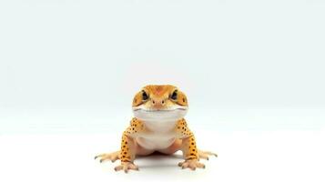 Foto von ein Leopard Gecko auf Weiß Hintergrund. generativ ai