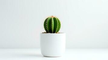 Foto von Kaktus im minimalistisch Topf wie Zimmerpflanze zum Zuhause Dekoration isoliert auf Weiß Hintergrund. generativ ai