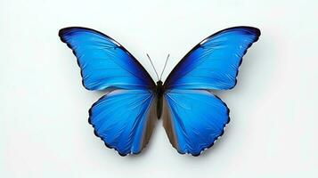 Foto von ein Blau Morpho Schmetterling auf Weiß Hintergrund. generativ ai