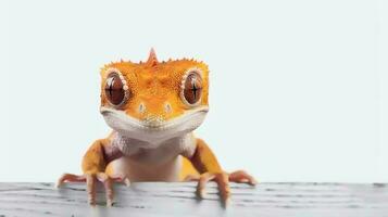 Foto von ein mit Haube Gecko auf Weiß Hintergrund. generativ ai