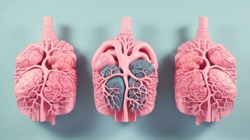 3d Illustration von das Mensch Organ Systeme, Mensch intern Organe. Anatomie. nervös, Kreislauf, Verdauungs, Ausscheidung, Harn und Knochen Systeme. medizinisch Bildung Konzept, generativ ai Illustration foto