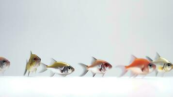 Foto von ein Tetra Fisch auf Weiß Hintergrund. generativ ai