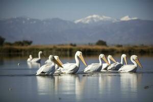 wild afrikanisch Vögel. ein Gruppe von mehrere groß Rosa Pelikane Stand im das Lagune auf ein sonnig Tag , generieren ai foto