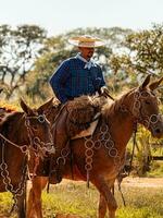 apore, goias, Brasilien - - 05 07 2023 zu Pferd Reiten Veranstaltung öffnen zu das Öffentlichkeit foto