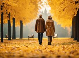 glücklich Senior Paar im Herbst Park foto