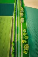 generativ ai, Bauernhof Landschaft, landwirtschaftlich Felder, schön Landschaft, Land Straße. Natur Illustration, fotorealistisch oben Aussicht Drohne, Vertikale Format foto