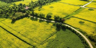 generativ ai, Bauernhof Landschaft, landwirtschaftlich Felder, schön Landschaft, Land Straße. Natur Illustration, fotorealistisch oben Aussicht Drohne, horizontal Banner. foto