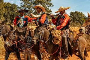 apore, goias, Brasilien - - 05 07 2023 zu Pferd Reiten Veranstaltung öffnen zu das Öffentlichkeit foto