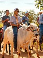 apore, goias, Brasilien - - 05 07 2023 zu Pferd Reiten Veranstaltung öffnen zu das Öffentlichkeit foto