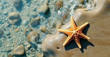 schließen oben von Seestern. Sommer- Hintergrund mit Kopieren Raum. generativ ai foto