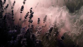 generativ ai, schließen oben wachsend Lavendel Feld mit Parfüm Rauch, blühen Lavendel, Rosa lila Blumen und Gras. foto