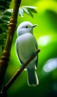Porträt von schön wenig Weiß Vogel, generativ ai foto