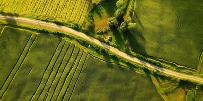 generativ ai, Bauernhof Landschaft, landwirtschaftlich Felder, schön Landschaft, Land Straße. Natur Illustration, fotorealistisch oben Aussicht Drohne, horizontal Banner. foto