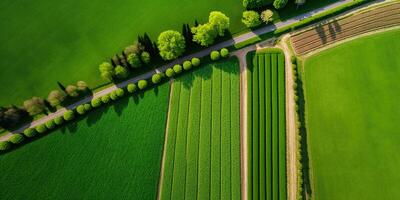 generativ ai, Bauernhof Landschaft, landwirtschaftlich Felder, schön Landschaft, Land Straße. Natur Illustration, fotorealistisch oben Aussicht Drohne, horizontal Banner. foto