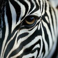 Nahansicht von ein Zebra Auge. generativ ai foto