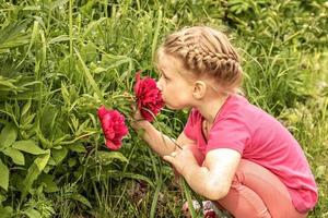 ein kleines Mädchen sitzt an einem Blumenbeet im Garten und schnuppert an leuchtend rosa Pfingstrosen