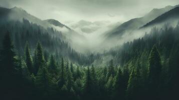 generativ ai, neblig Tanne Wald schön Landschaft im Hipster Jahrgang retro Stil, nebelig Berge und Bäume foto