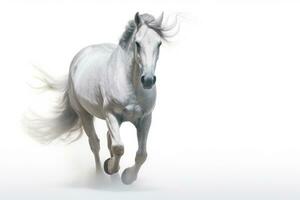 Weiß andalusisch Pferd mit lange Mähne Lauf Galopp auf Weiß Hintergrund. generativ ai foto