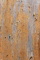 Oberfläche der alten Planken mit Textur. foto