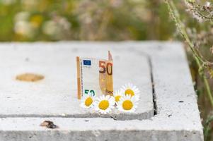 50-Euro-Banknote ruht mit Gänseblümchen foto