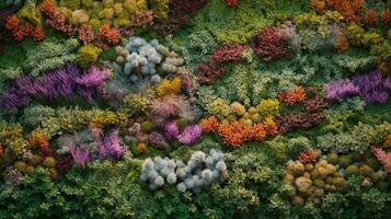 generativ ai, Grün Wald dekorativ stabil Moos mit üppig anders Farben Bäume, Sukkulenten wie Hintergrund foto