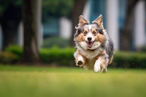 ein schließen - - oben Schuss von ein froh, Hund Laufen durch das Park. generativ ai foto