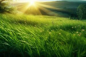 ein grasig Feld mit Sonne Strahlen hinter Es. generativ ai foto