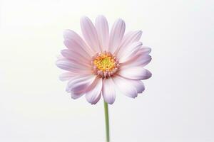 ein immer noch - - Leben fotografieren von ein Single Blume gegen ein einfach Hintergrund. generativ ai foto